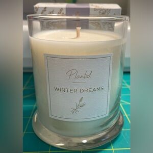 Jilly box Winter 2025 Planted Soy Candle Winter Dreams